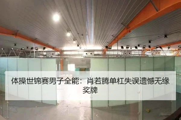 体操世锦赛男子全能：肖若腾单杠失误遗憾无缘奖牌